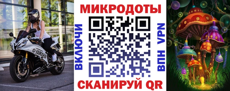 цена Карабулак Галлюциногенные грибы Magic Shrooms